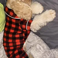 processed/d13c7b6f-fcac-403e-adb4-146118f1818a/facility/e99a28a3-3a53-4116-95ed-4999bd9042a7