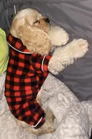 processed/d13c7b6f-fcac-403e-adb4-146118f1818a/facility/e99a28a3-3a53-4116-95ed-4999bd9042a7