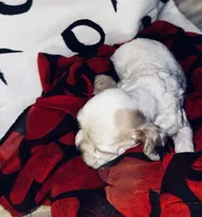 processed/d13c7b6f-fcac-403e-adb4-146118f1818a/listing/42fa2a02-6d98-4cbb-9345-29662449e947/68b48bb2-0b96-4af6-881b-6493e98a5dba