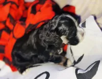 processed/d13c7b6f-fcac-403e-adb4-146118f1818a/listing/4de4815b-8b32-4d54-9939-faca080805ee/79a24d6b-4ed9-4a4f-81d4-e167cf879591