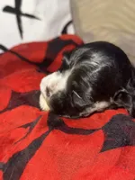 processed/d13c7b6f-fcac-403e-adb4-146118f1818a/listing/4de4815b-8b32-4d54-9939-faca080805ee/bec3e85b-53bb-4a35-a065-81abfc782c6d