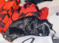 processed/d13c7b6f-fcac-403e-adb4-146118f1818a/listing/4de4815b-8b32-4d54-9939-faca080805ee/dae2c06c-0675-4f19-ac3f-755e6189979d