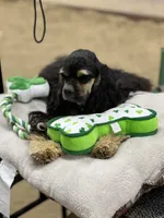 processed/d13c7b6f-fcac-403e-adb4-146118f1818a/listing/5f6a9aeb-8e71-49b8-a347-4c73763485aa/07fa961f-30cf-4a0d-9393-93eab1ac9dc2