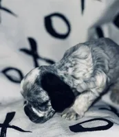 processed/d13c7b6f-fcac-403e-adb4-146118f1818a/listing/5f6a9aeb-8e71-49b8-a347-4c73763485aa/a3381499-82a6-445f-803c-9ce9220f4071