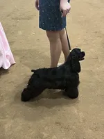 processed/d13c7b6f-fcac-403e-adb4-146118f1818a/listing/88e4c603-c565-4c56-a32a-734f2d7bcd4b/3766da05-a91f-4d1a-a0c5-65e38a2eacf8