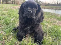 processed/d13c7b6f-fcac-403e-adb4-146118f1818a/listing/88e4c603-c565-4c56-a32a-734f2d7bcd4b/6dbed025-da88-4321-973e-fa40b512296a