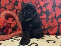 processed/d13c7b6f-fcac-403e-adb4-146118f1818a/listing/88e4c603-c565-4c56-a32a-734f2d7bcd4b/94186dfe-e2a0-4da2-a084-8ad83f99d025