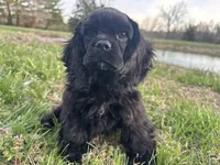 processed/d13c7b6f-fcac-403e-adb4-146118f1818a/listing/88e4c603-c565-4c56-a32a-734f2d7bcd4b/b79cca74-f0cf-4a63-b3cf-b69da1e506d7