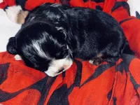 processed/d13c7b6f-fcac-403e-adb4-146118f1818a/listing/ae532899-5cdb-437b-ab92-6fb1ee684628/f865fccf-142f-4fe4-9667-de3c8e1026a9