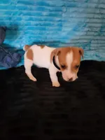 processed/d13cb0ae-42f1-48f6-adb6-cc2faff51a36/listing/585ab37a-5449-4fcb-aa72-e78d1f717c28/1157cba0-a0f7-4712-8f0b-0fcb832d4ed2