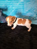 processed/d13cb0ae-42f1-48f6-adb6-cc2faff51a36/listing/585ab37a-5449-4fcb-aa72-e78d1f717c28/1d8a2ff6-a2a4-46e7-805b-911591bd2db6