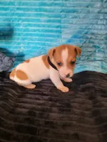 processed/d13cb0ae-42f1-48f6-adb6-cc2faff51a36/listing/585ab37a-5449-4fcb-aa72-e78d1f717c28/5d9d2fc9-7301-45ea-9108-6a68b5fe3653