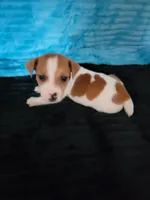 processed/d13cb0ae-42f1-48f6-adb6-cc2faff51a36/listing/585ab37a-5449-4fcb-aa72-e78d1f717c28/a37b25c0-f599-4ebc-bb15-c7ee0cadc7e2