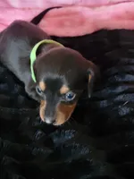 processed/d13cb0ae-42f1-48f6-adb6-cc2faff51a36/listing/62d22e6b-c54b-4374-89c7-b28e8afa313f/15f6cc9d-3630-429c-8977-4a49fadb5bbf