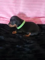 processed/d13cb0ae-42f1-48f6-adb6-cc2faff51a36/listing/62d22e6b-c54b-4374-89c7-b28e8afa313f/206d938f-a671-410c-b20f-fa832d529ba6