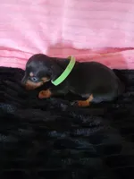 processed/d13cb0ae-42f1-48f6-adb6-cc2faff51a36/listing/62d22e6b-c54b-4374-89c7-b28e8afa313f/37ee98ad-386d-4599-87bf-953c9ece913f