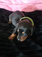 processed/d13cb0ae-42f1-48f6-adb6-cc2faff51a36/listing/62d22e6b-c54b-4374-89c7-b28e8afa313f/45a0ea76-8c30-4cec-9e95-ef44aace024b