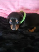 processed/d13cb0ae-42f1-48f6-adb6-cc2faff51a36/listing/62d22e6b-c54b-4374-89c7-b28e8afa313f/f3ef63a1-70ab-4921-93bd-a58e8eac6cd6