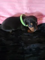 processed/d13cb0ae-42f1-48f6-adb6-cc2faff51a36/listing/62d22e6b-c54b-4374-89c7-b28e8afa313f/fea14a3b-99e4-48c5-b9bd-e834eefc0e84