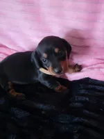 processed/d13cb0ae-42f1-48f6-adb6-cc2faff51a36/listing/cb47bbfc-0fcb-4205-9493-098d7a547f4c/a588eca3-7896-490b-bb74-ff2723d85fcc