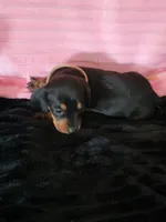 processed/d13cb0ae-42f1-48f6-adb6-cc2faff51a36/listing/cb47bbfc-0fcb-4205-9493-098d7a547f4c/aaaa651e-75b3-4d82-ab7b-ee7aaf5f473d