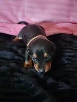 processed/d13cb0ae-42f1-48f6-adb6-cc2faff51a36/listing/cb47bbfc-0fcb-4205-9493-098d7a547f4c/b298fd5c-43e7-48bf-9b15-4dc7d0935136