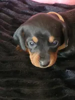 processed/d13cb0ae-42f1-48f6-adb6-cc2faff51a36/listing/cb47bbfc-0fcb-4205-9493-098d7a547f4c/caa213d5-8d23-4aa9-bc3f-b5b97b29378e