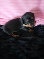 processed/d13cb0ae-42f1-48f6-adb6-cc2faff51a36/listing/cb47bbfc-0fcb-4205-9493-098d7a547f4c/d30a0304-e617-4a38-b4d3-3e6e79fcf53b