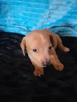 processed/d13cb0ae-42f1-48f6-adb6-cc2faff51a36/listing/e83e8122-210e-410b-a3fa-79fc661ad9ae/09cfde9b-66b4-456e-af73-d8af56d27bc6