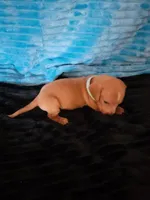 processed/d13cb0ae-42f1-48f6-adb6-cc2faff51a36/listing/e83e8122-210e-410b-a3fa-79fc661ad9ae/34500634-ed23-423b-85b3-74eb75025675