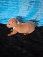 processed/d13cb0ae-42f1-48f6-adb6-cc2faff51a36/listing/e83e8122-210e-410b-a3fa-79fc661ad9ae/4f48fd6c-0367-462d-808b-940c6eaf23da