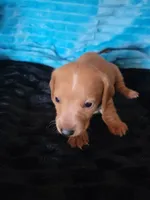 processed/d13cb0ae-42f1-48f6-adb6-cc2faff51a36/listing/e83e8122-210e-410b-a3fa-79fc661ad9ae/901232ff-5e04-4987-86f5-7790b5e0ddd6