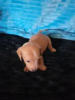 processed/d13cb0ae-42f1-48f6-adb6-cc2faff51a36/listing/e83e8122-210e-410b-a3fa-79fc661ad9ae/9e82c585-8bbd-4348-b7bf-523a59c37c6b