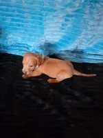 processed/d13cb0ae-42f1-48f6-adb6-cc2faff51a36/listing/e83e8122-210e-410b-a3fa-79fc661ad9ae/f401b218-2d07-4a69-ab3b-8e85e2d7fbb8