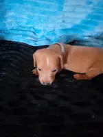 processed/d13cb0ae-42f1-48f6-adb6-cc2faff51a36/listing/e83e8122-210e-410b-a3fa-79fc661ad9ae/f9fd3a67-2798-4ca2-93e6-a9635ed86f9d