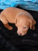 processed/d13cb0ae-42f1-48f6-adb6-cc2faff51a36/listing/e83e8122-210e-410b-a3fa-79fc661ad9ae/ff2c78e9-9ab2-4c14-9312-d720d74a1290