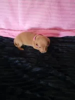 processed/d13cb0ae-42f1-48f6-adb6-cc2faff51a36/listing/ee83b5f3-869d-4cee-8d36-94145d955d0d/91524ca0-ec18-4ca4-94d9-86ad5f807062