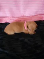 processed/d13cb0ae-42f1-48f6-adb6-cc2faff51a36/listing/ee83b5f3-869d-4cee-8d36-94145d955d0d/9b1d4c22-59f4-44b0-8d56-dbfb5df93c54