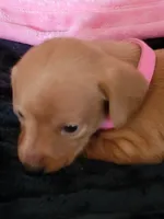 processed/d13cb0ae-42f1-48f6-adb6-cc2faff51a36/listing/ee83b5f3-869d-4cee-8d36-94145d955d0d/b0e968dd-32db-4ac7-bc2b-fa205891f742