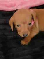 processed/d13cb0ae-42f1-48f6-adb6-cc2faff51a36/listing/ee83b5f3-869d-4cee-8d36-94145d955d0d/b881c020-7831-4ccc-bc18-9430f189d490