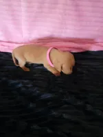 processed/d13cb0ae-42f1-48f6-adb6-cc2faff51a36/listing/ee83b5f3-869d-4cee-8d36-94145d955d0d/c37c131a-c715-452b-8b9b-d2c01a2e967c