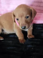 processed/d13cb0ae-42f1-48f6-adb6-cc2faff51a36/listing/ee83b5f3-869d-4cee-8d36-94145d955d0d/e405e7ca-6067-4b8e-b103-668a5b73ba20