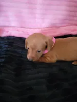 processed/d13cb0ae-42f1-48f6-adb6-cc2faff51a36/listing/ee83b5f3-869d-4cee-8d36-94145d955d0d/e618ef51-7490-4994-9782-be587e955010