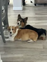 Facility photo