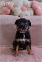 processed/d1422976-e5b3-4a00-bdce-6554d3eb4216/listing/749c883f-3b92-4339-ab28-f8aec842019d/007dbbda-8aef-4550-b7e1-c094d7533682