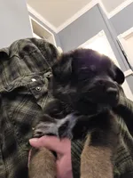 processed/d1422976-e5b3-4a00-bdce-6554d3eb4216/listing/749c883f-3b92-4339-ab28-f8aec842019d/2f8fe32d-15e2-4524-a456-b961d2405133