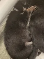 processed/d1422976-e5b3-4a00-bdce-6554d3eb4216/listing/749c883f-3b92-4339-ab28-f8aec842019d/7464fc45-8e6c-4ade-af9c-c38b1238f629