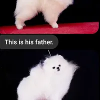 processed/d145e80d-9a6b-4219-866f-14780d45dff8/facility/31254f1e-ebe5-408b-83e0-174a9be24ec9