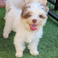 processed/d145e80d-9a6b-4219-866f-14780d45dff8/facility/3666ce97-fd7d-484d-a068-2e927cb7f62e