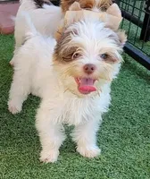 processed/d145e80d-9a6b-4219-866f-14780d45dff8/facility/3666ce97-fd7d-484d-a068-2e927cb7f62e